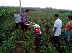 田園管理機使用前的準備工作