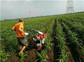 大姜開(kāi)溝機(jī)