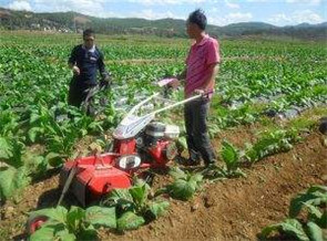 煙地開(kāi)溝培土機(jī)器