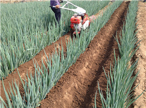 田園管理機故障分析